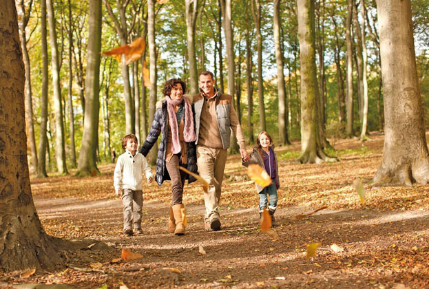 Energiespar-Rendite: Neue Heizung schlägt Sparbuch