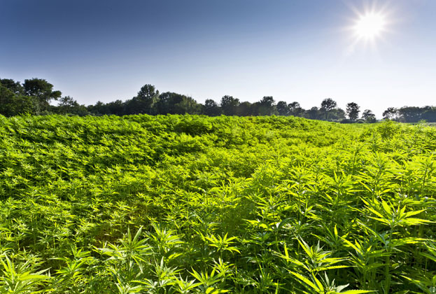 Ausgezeichnete Ökobilanz