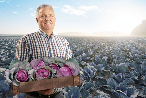 Superfood aus der Region