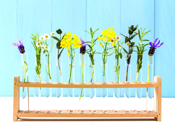 Stimmungsvolle Farbakzente mit Naturfarben setzen