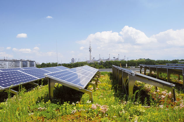 Photovoltaikanlagen boomen aufgrund ihres ständig steigenden Wirkungsgrades. Dieser sinkt allerdings mit erhöhter Umgebungstemperatur. Eine Dachbegrünung kühlt die Module auf natürliche Art und Weise.  Foto: djd/www.xps-waermedaemmung.de
