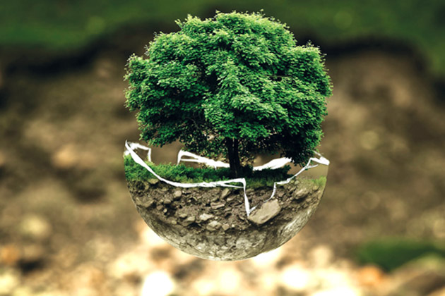 Handtrockner – Eine ökologische Alternative